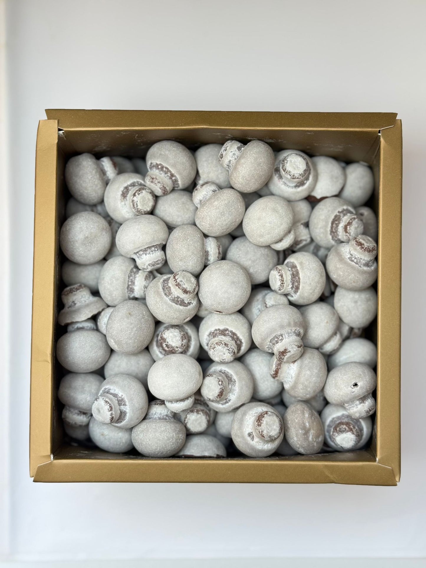 Pilz Milchschokolade